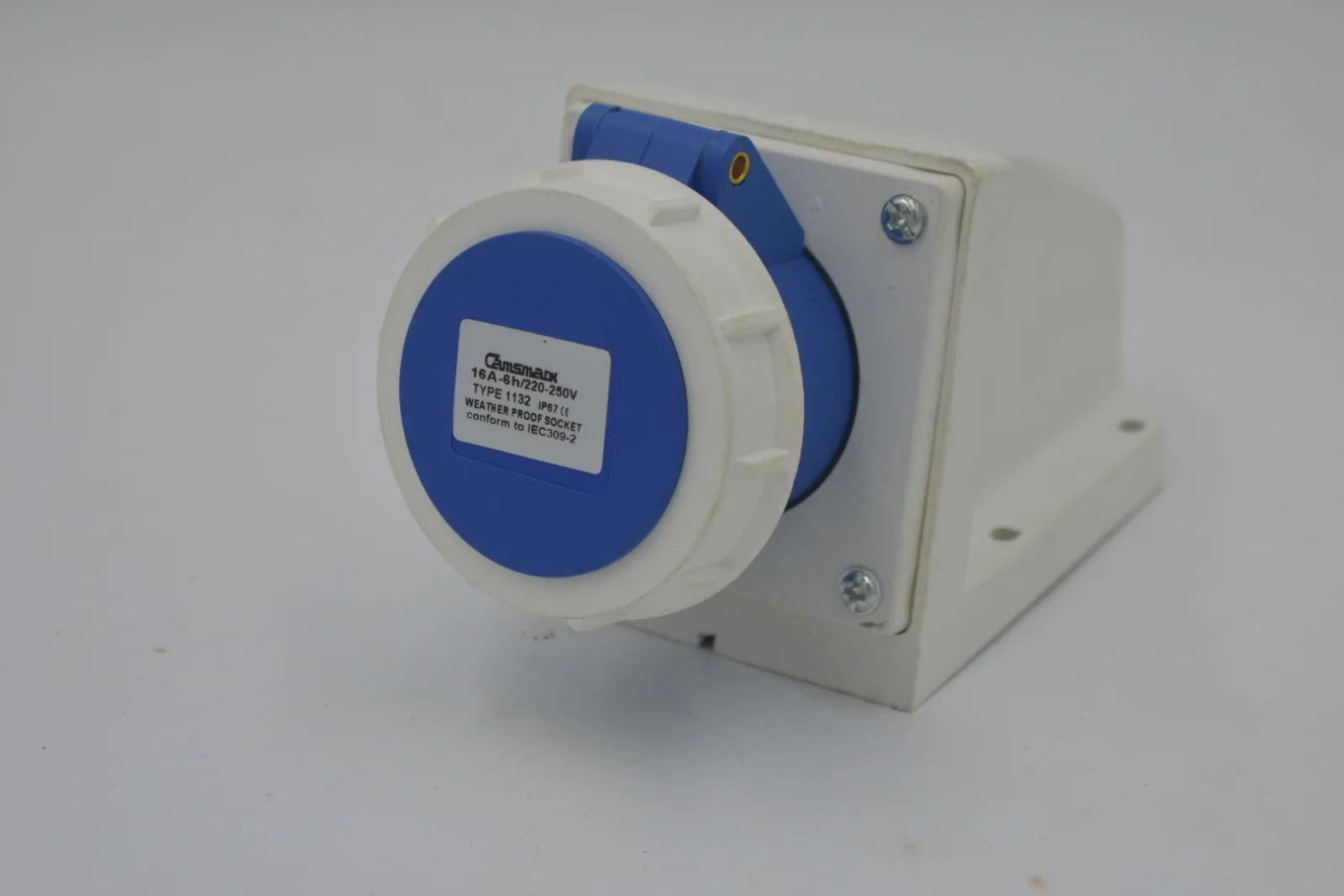 TOMA PARED AZUL 1132 16A 2P/3L IP67